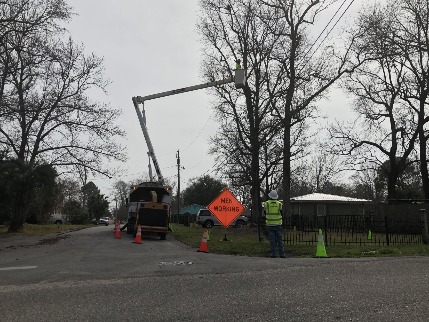 NMB tree trimming 2